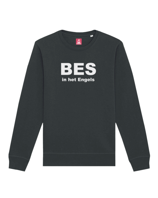 Sweater 'Berry'